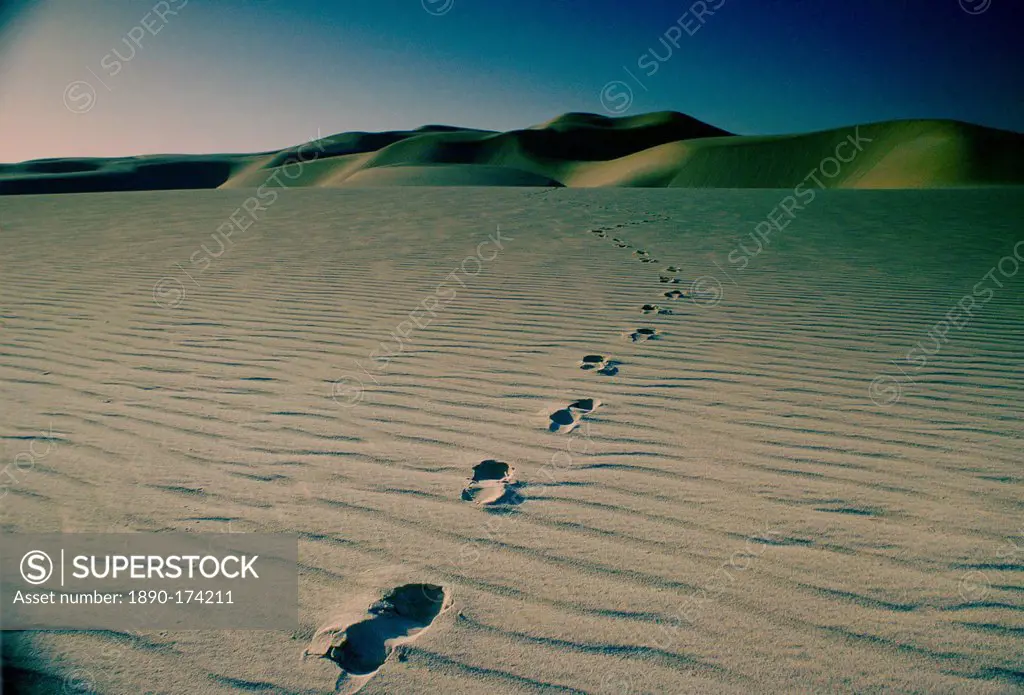 Footprints through the sand in the desert at Qatar