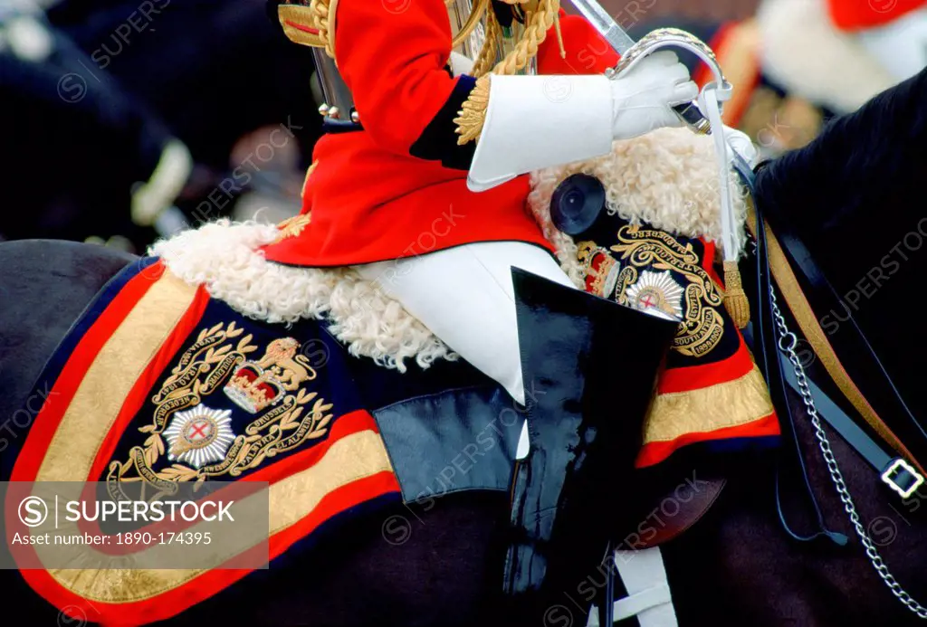 Close up detail of the uniform and tack of a mounted guardsman of the Lifeguards at the Trooping the Colour ceremony, London