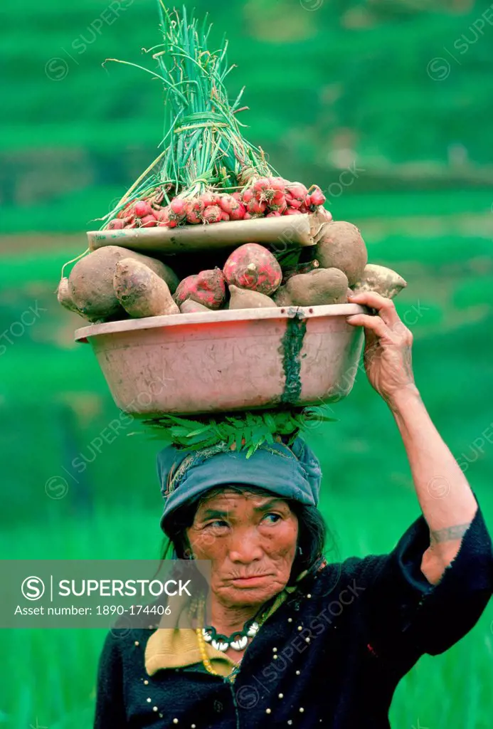 A woman from Ifugao carrying vegetables on her head on her way through the rice terraces to the market at Banaue on the Island of Luzon in the Philipp...