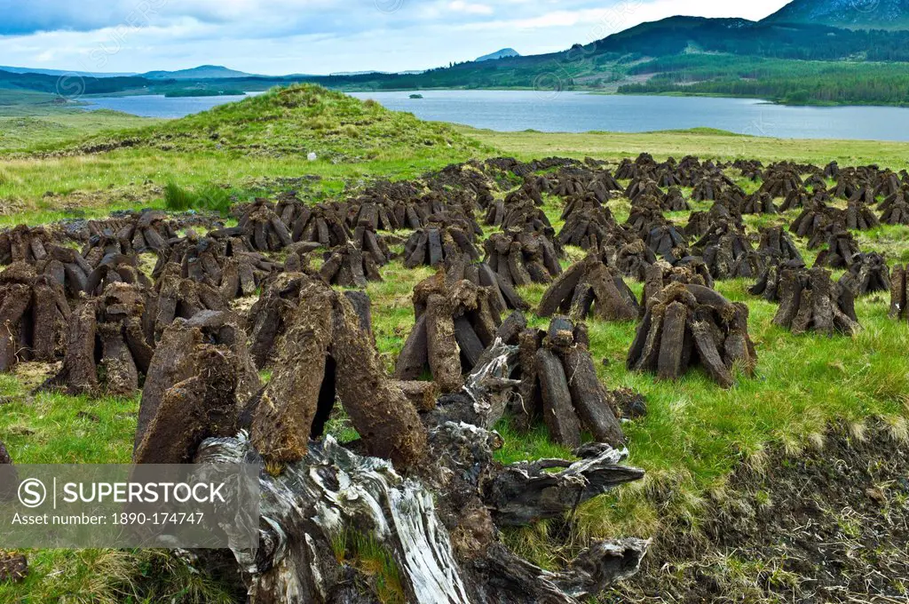 Stacks of turf, in process called footing, drying on peat bog, by Lough Inagh near Recess in Connemara, County Galway, Ireland