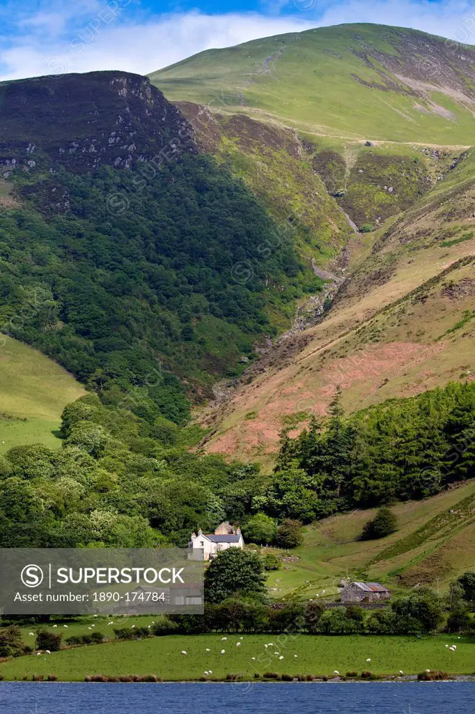 Hill farm on mountain slopes at Tal-Y-LLyn, Snowdonia, Gwynned, Wales