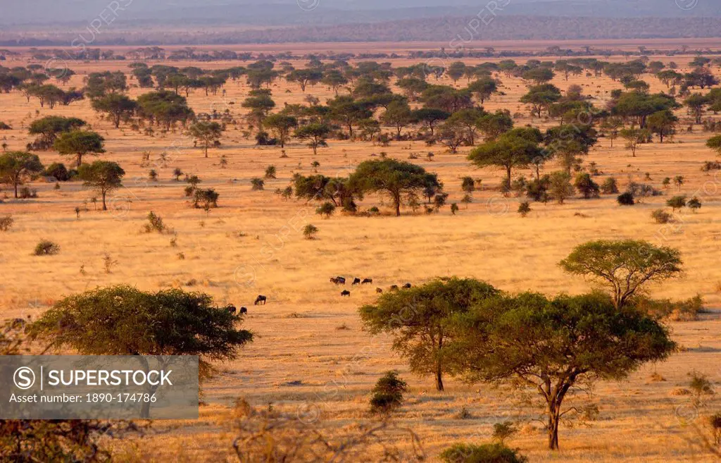 The Serengeti Plain in the Serengeti National Park, Tanzania Grumeti,Tanzania, East Africa