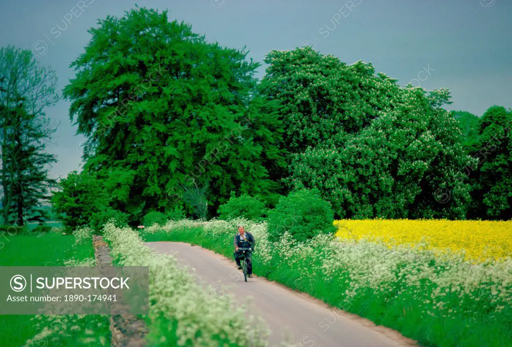 Man cycling along country lane near Coates in Gloucestershire, England