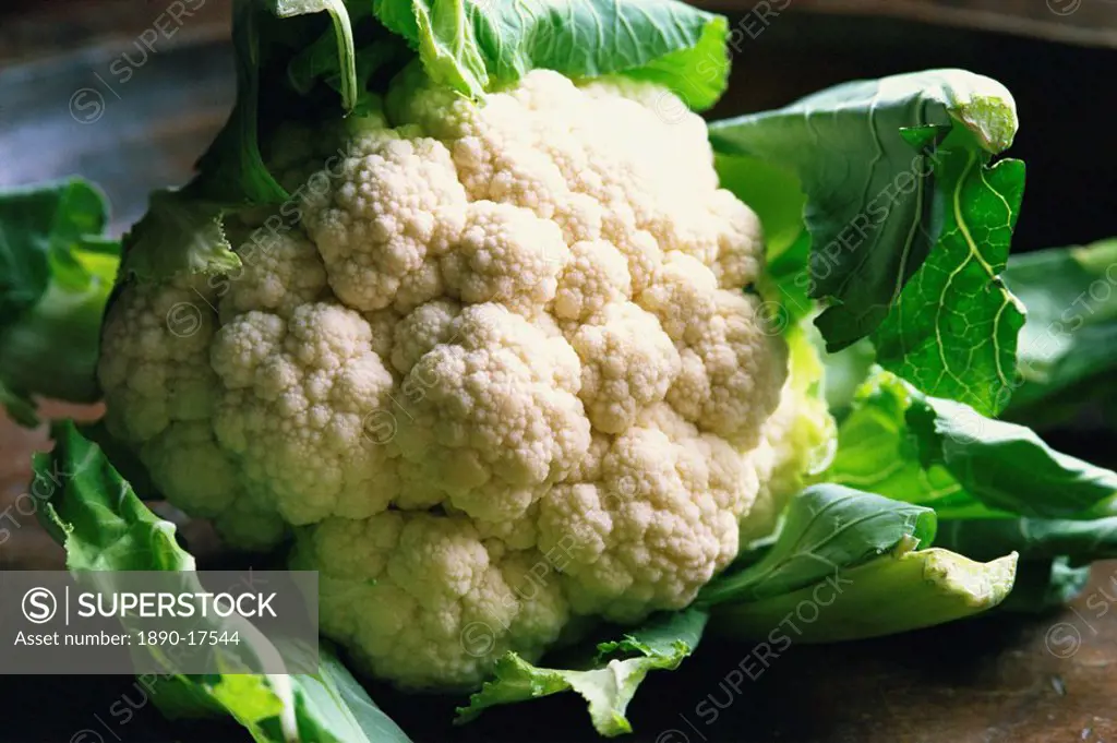 Close_up of a cauliflower