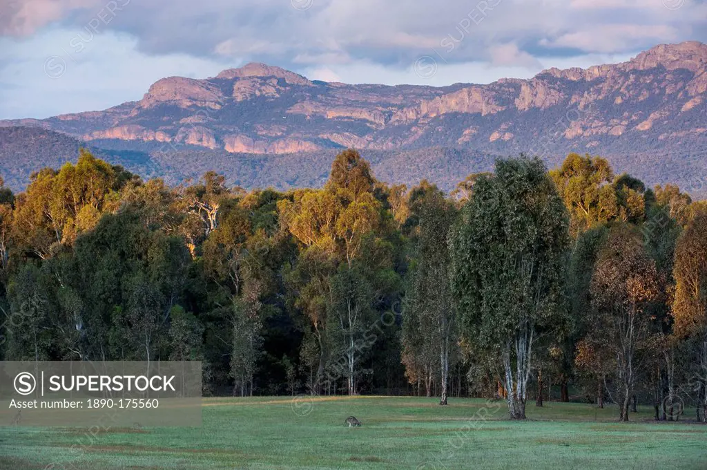 The cliffs of the Grampians National Park at sunset, Victoria, Australia, Pacific