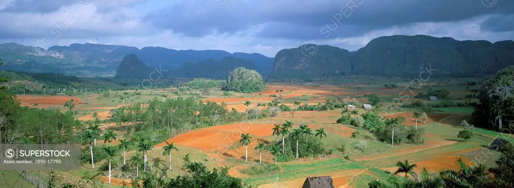 View over Vinales valley towards tobacco plantations and Mogotes, from Hotel Los Jasmines, Vinales, Pinar Del Rio province, Cuba, West Indies, Central...