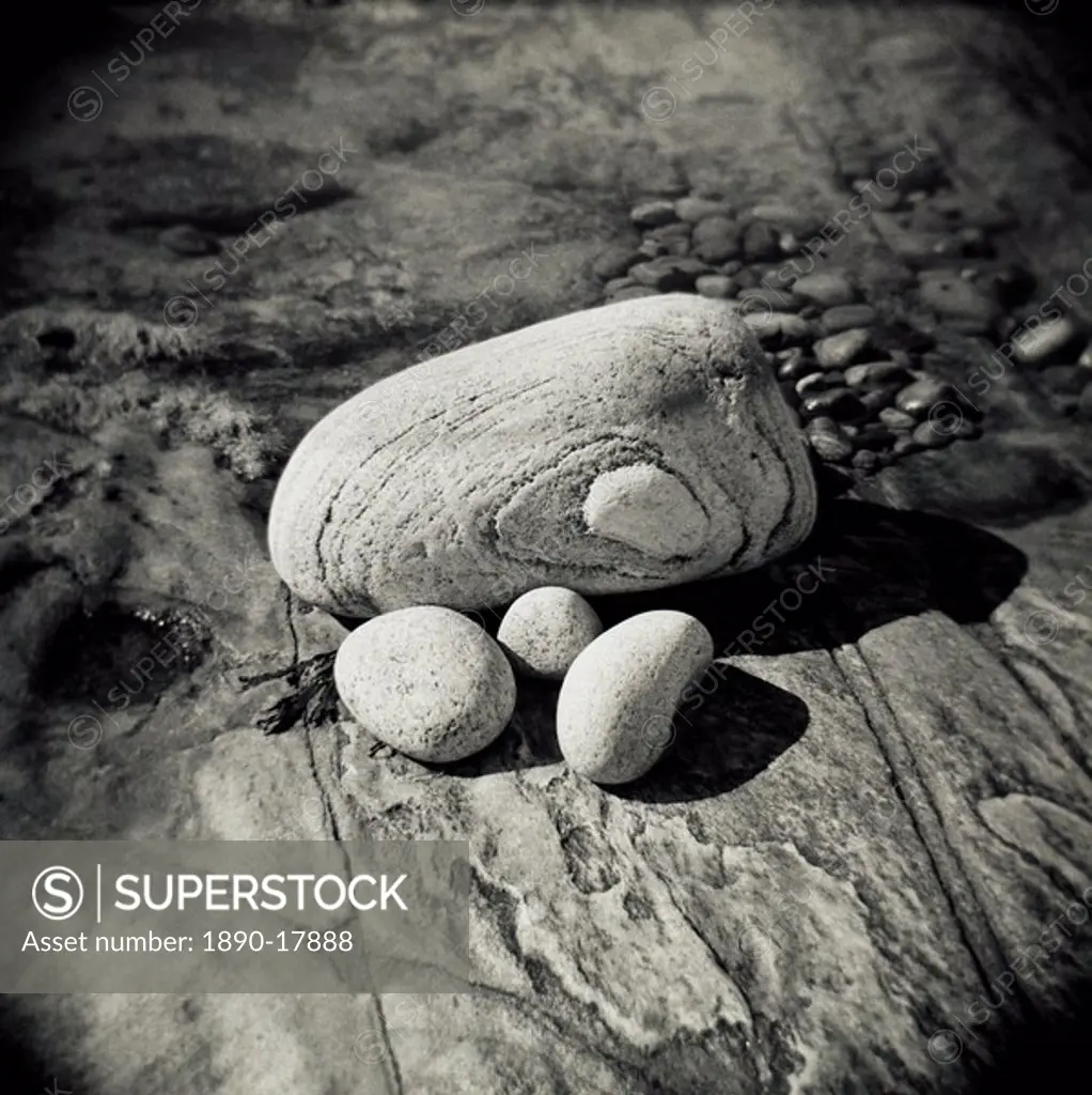 Image taken with a Holga medium format 120 film toy camera of four pebbles of different sizes arranged on flat rock, Taransay, Outer Herbrides, Scotla...