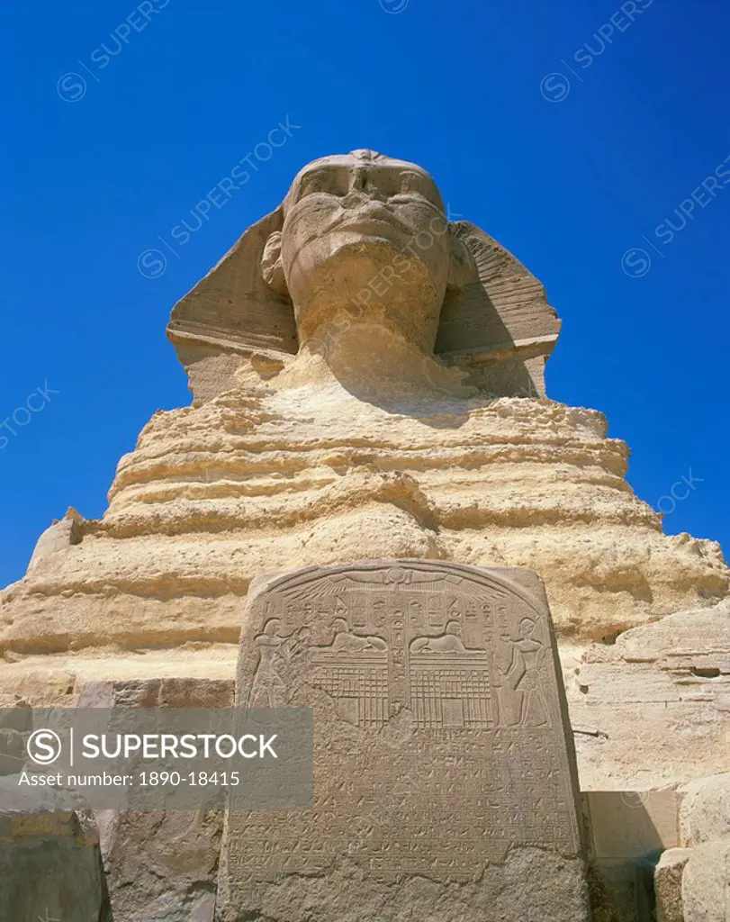 The Great Sphinx and tablet or stela, Giza, UNESCO World Heritage Site, Cairo, Egypt, North Africa, Africa