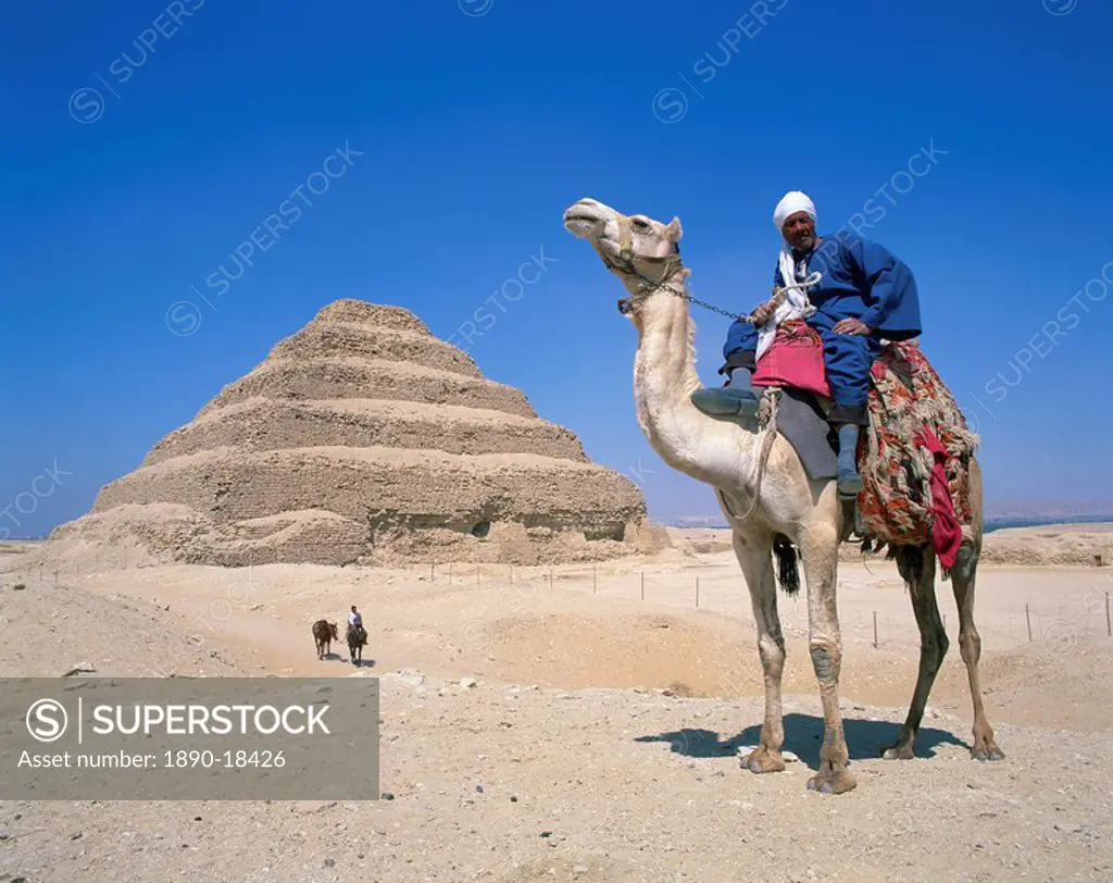 Guide on camel in front of the Step Pyramid of the pharaoh Zoser at Saqqara Sakkara, UNESCO World Heritage Site, Egypt, North Africa, Africa