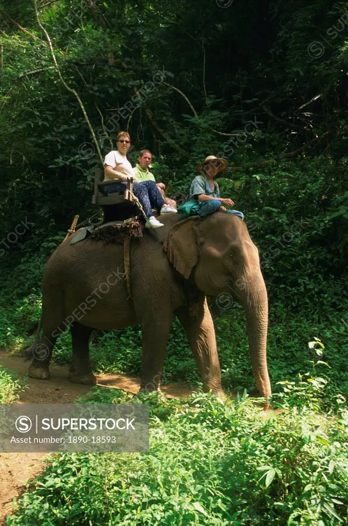 Tourists ride on an elephant at the Chiang Dao Elephant Training Centre at Chiang Mai, Thailand, Southeast Asia, Asia