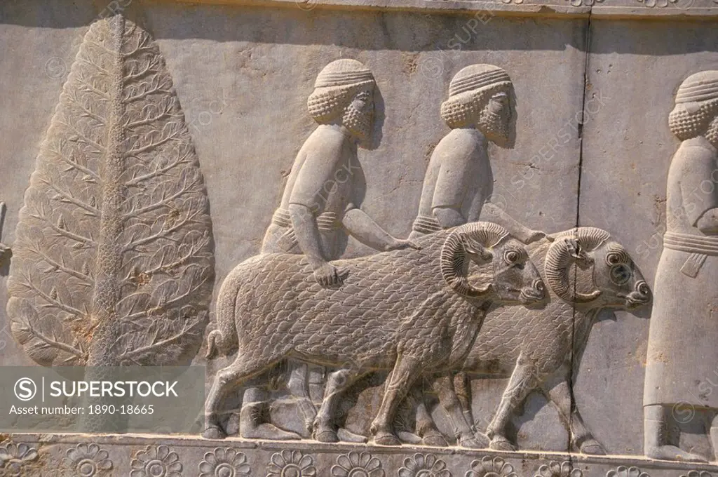Carved reliefs of rams from Asia Minor on the Apadana palace staircase, Persepolis, UNESCO World Heritage Site, Iran, Middle East