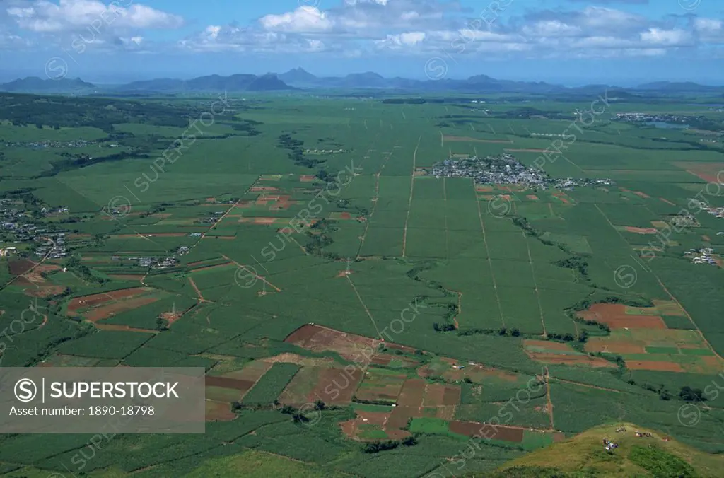Sugar cane fields from Le Puce peak, Port Louis, Mauritius, Africa