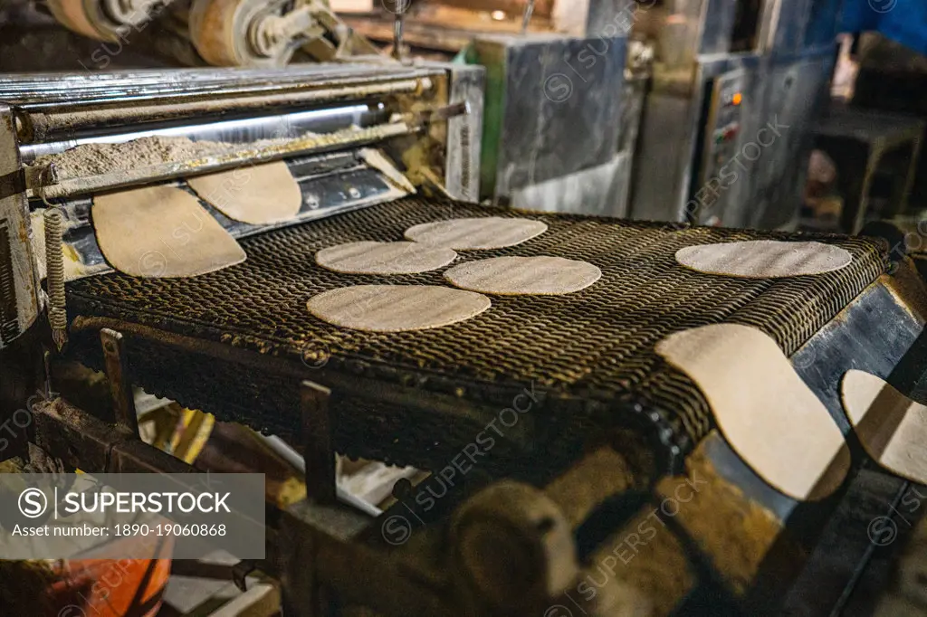 Fresh Roti being made on a conveyor belt at the Golden Temple, Amritsar, Punjab, India