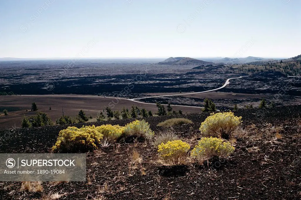 Yellow flowering plants and loop road seen from Inferno cone, Craters of the Moon National Monument, Idaho, United States of America U.S.A., North Ame...