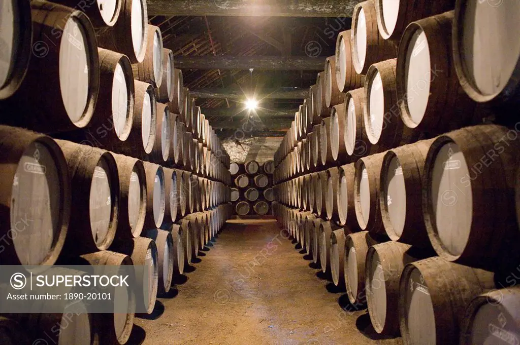 Traditional port barrels in which tawny port is maturing, in cellars of port lodge Ramos Pinto, Av. Ramos Pinto, Vila Nova de Gaia, Oporto, Portugal, ...