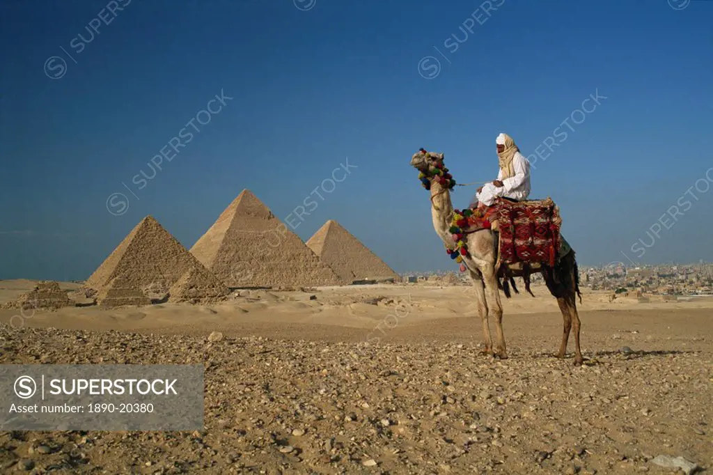 Camel and rider near the Pyramids, UNESCO World Heritage Site, Giza, Cairo, Egypt, North Africa, Africa