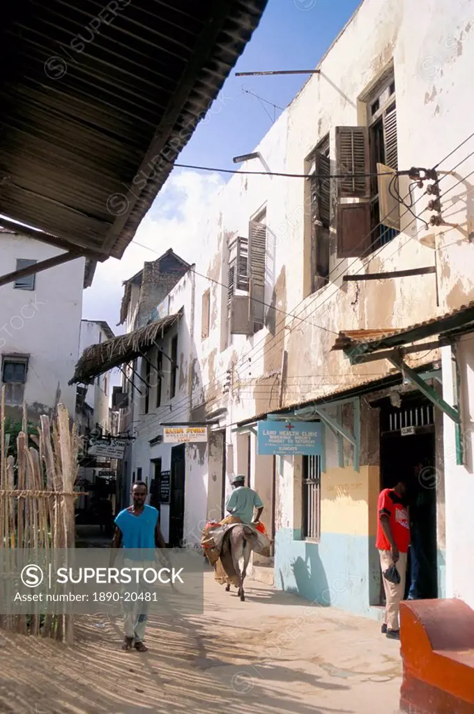 Main street, Lamu Town, island of Lamu, Kenya, East Africa, Africa