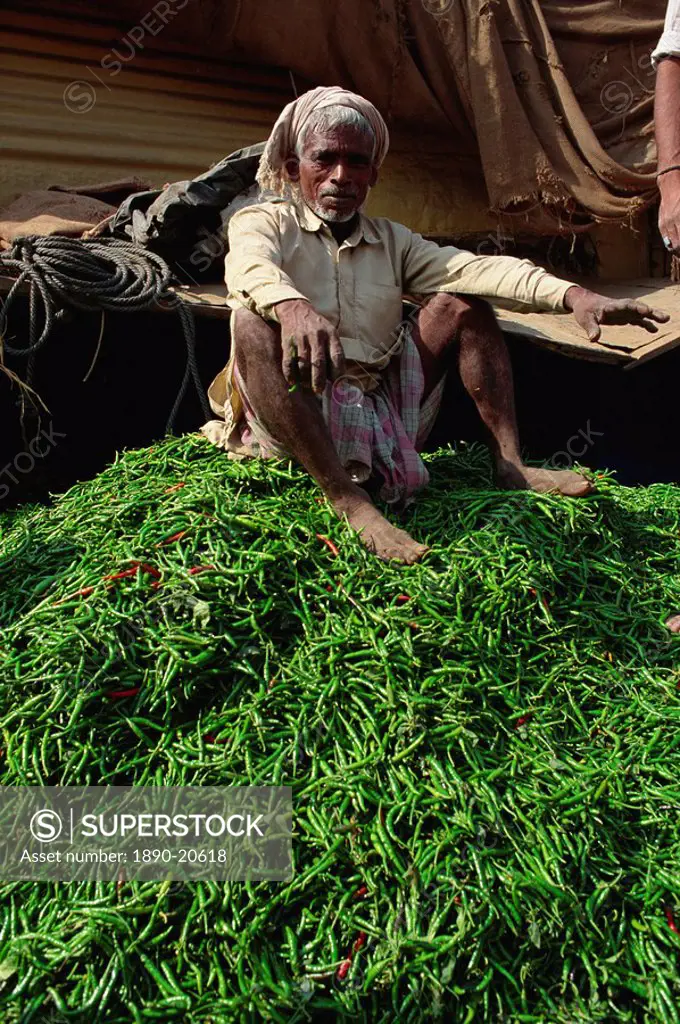 Vendor and green chilli peppers, Varanasi, Uttar Pradesh state, India, Asia
