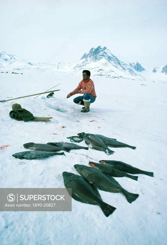 Inuit man fishing for halibut, Greenland, Polar Regions