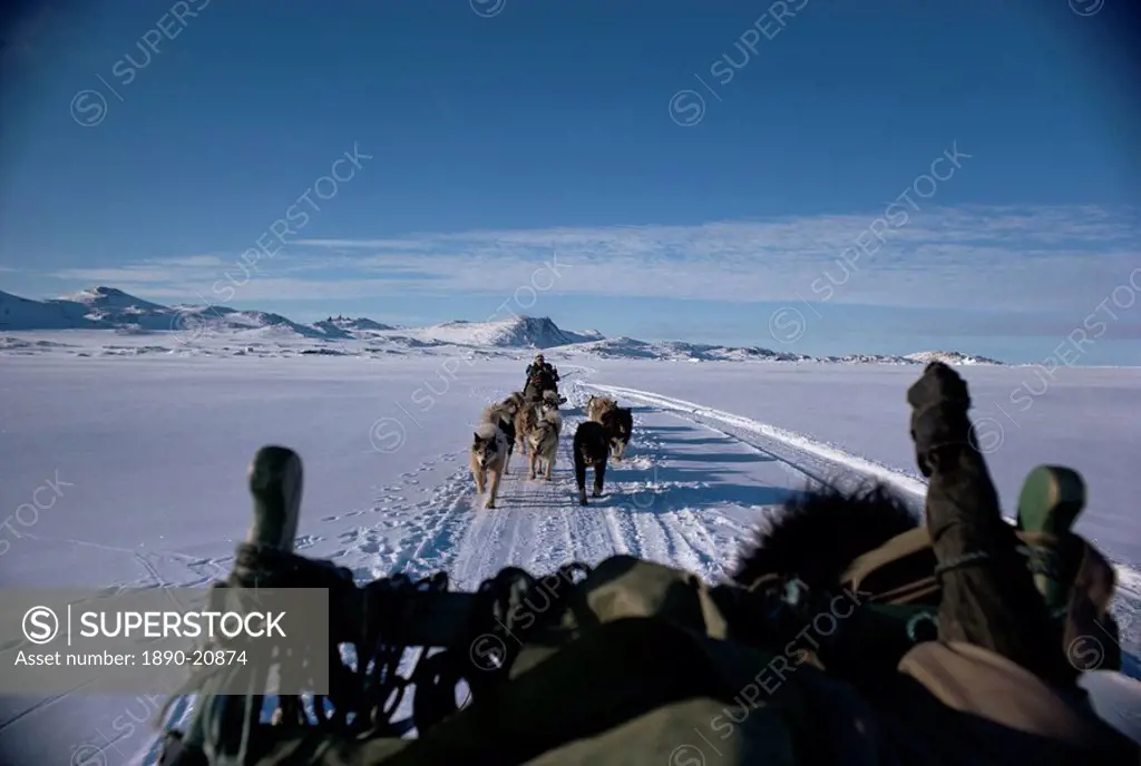 Dog transport, Greenland, Polar Regions