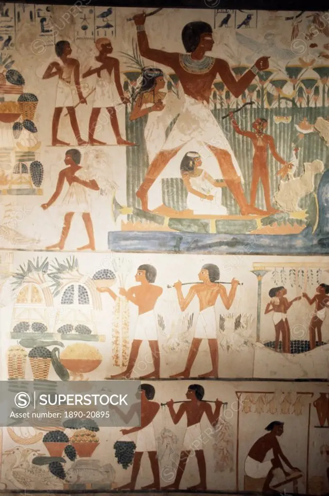 Paintings of scenes of everday life in the tomb of Nakht, Minister of Agriculture in the reign of Tutmosis IV, Valley of the Nobles, Thebes, UNESCO Wo...