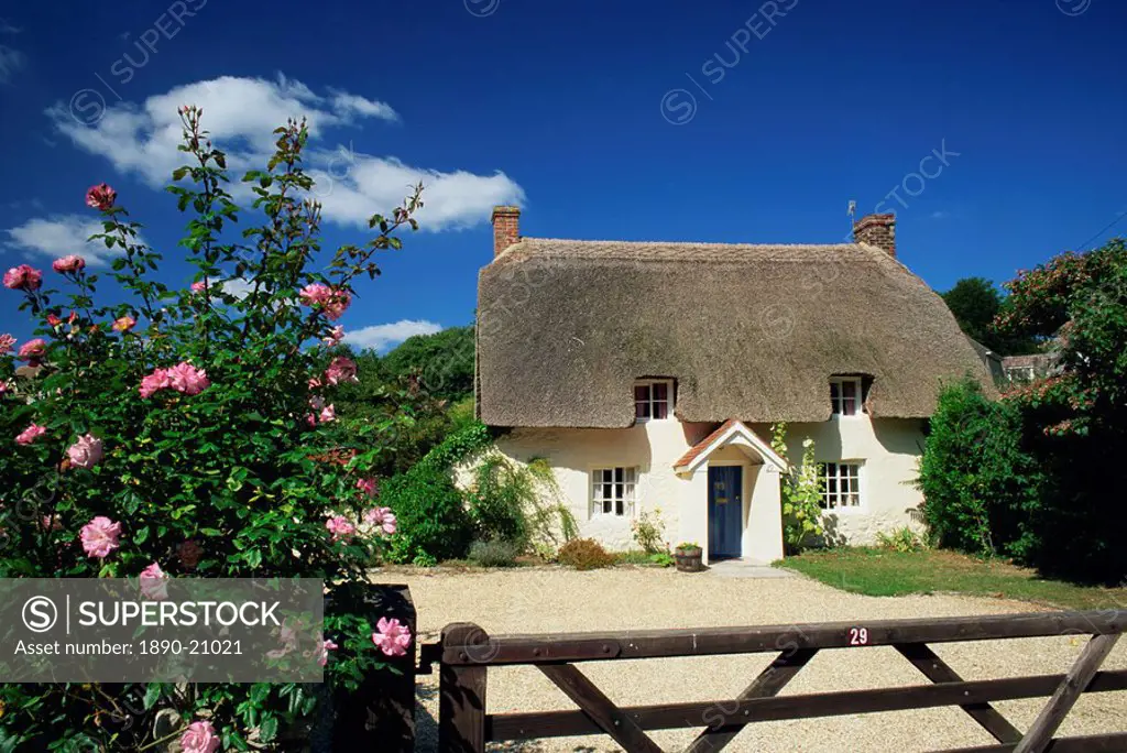 Thatched cottage with roses by the gate at West Lulworth, Dorset, England, United Kingdom, Europe