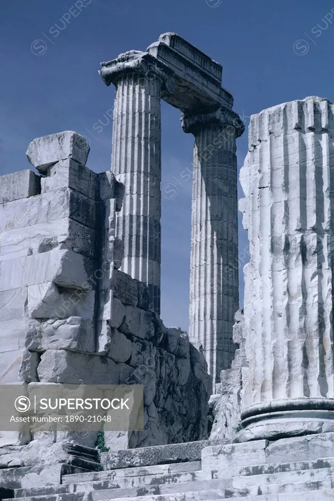 Ruins of the Temple of Apollo, archaeological site, Didyma, Aegean coast, Anatolia, Turkey, Asia Minor