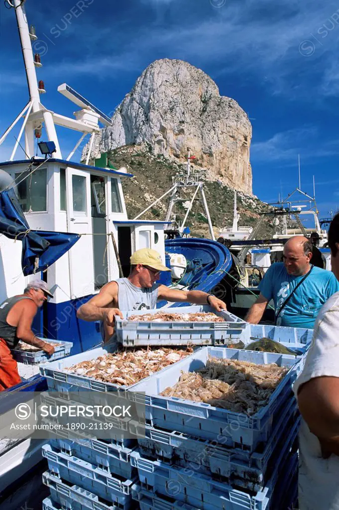Fish being landed, Calpe, the Penyal d´Ifach Penon de Ifach towering above the harbour, Alicante, Valencia, Spain, Europe