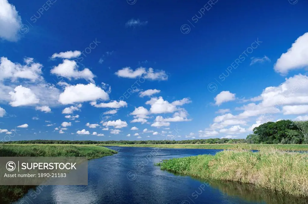 View from riverbank of white clouds and blue sky, Myakka River State Park, near Sarasota, Florida, United States of America U.S.A., North America