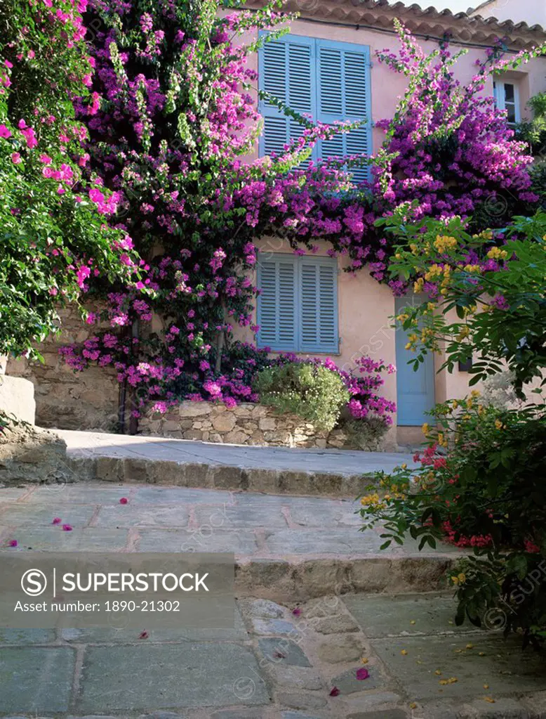 Village house covered with bougainvillea, Grimaud, Var, Cote d´Azur, Provence, France, Europe