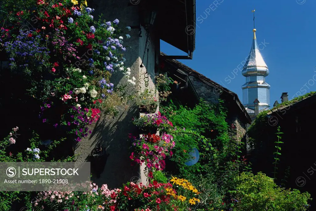 Flower filled garden of village house with sparkling church spire beyond, Yvoire, Haute_Savoie, Rhone_Alpes, France, Europe