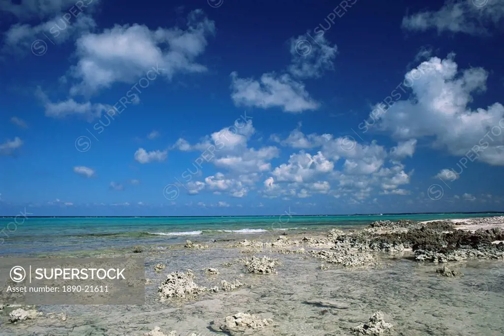 Rocky shore, Grand Cayman, Cayman Islands, West Indies, Central America