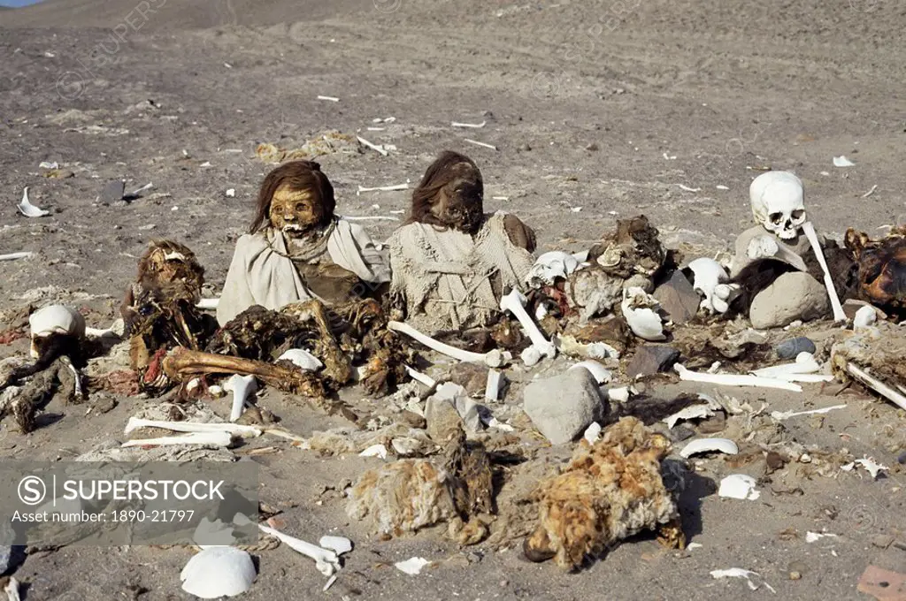 Human remains preserved over 500 years, Chauchilla cemetery, Nazca, Peru, South America