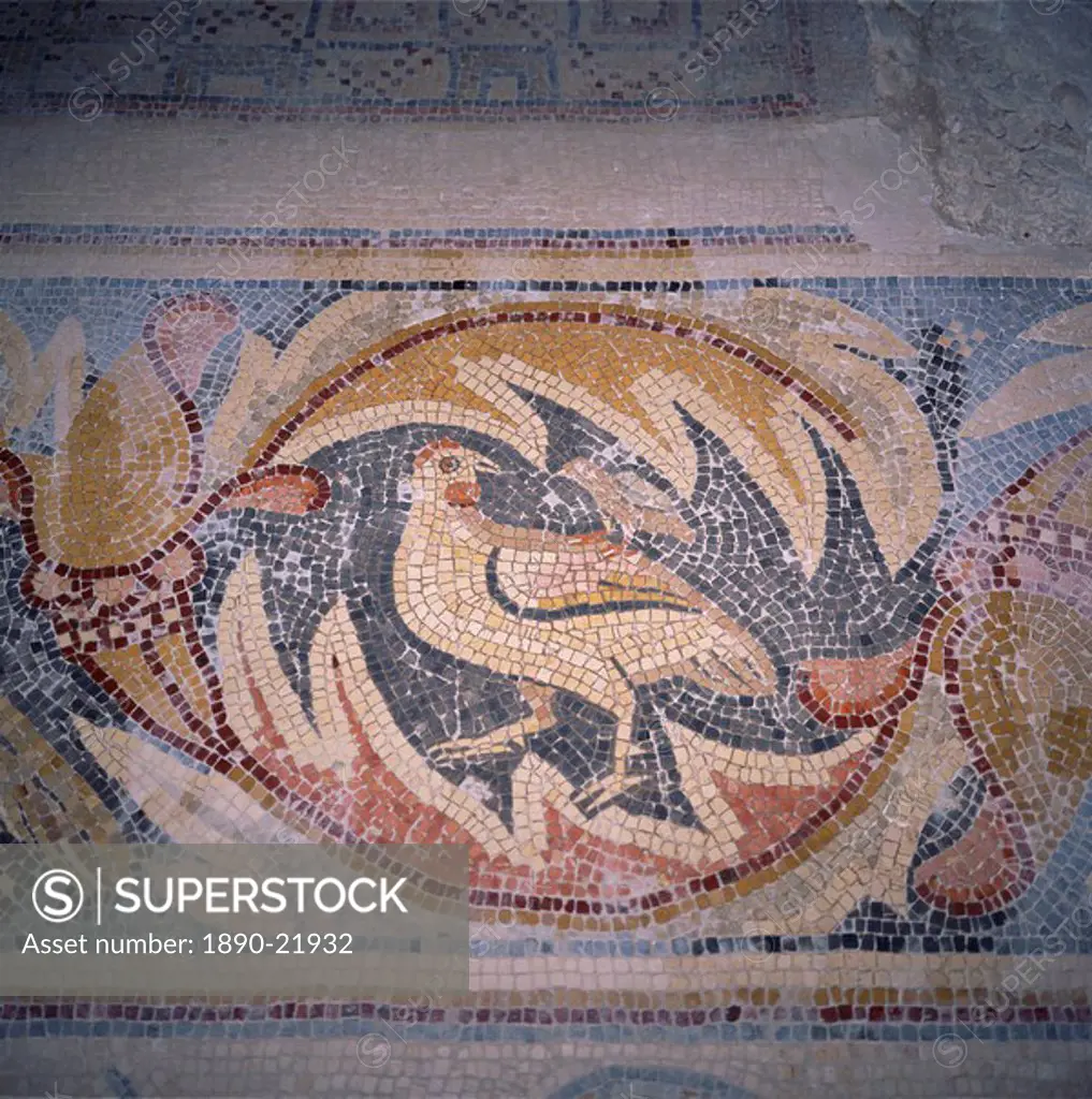 Close_up of mosaic dating from the 6th century AD, Apostles Church, Madaba, Jordan, Middle East