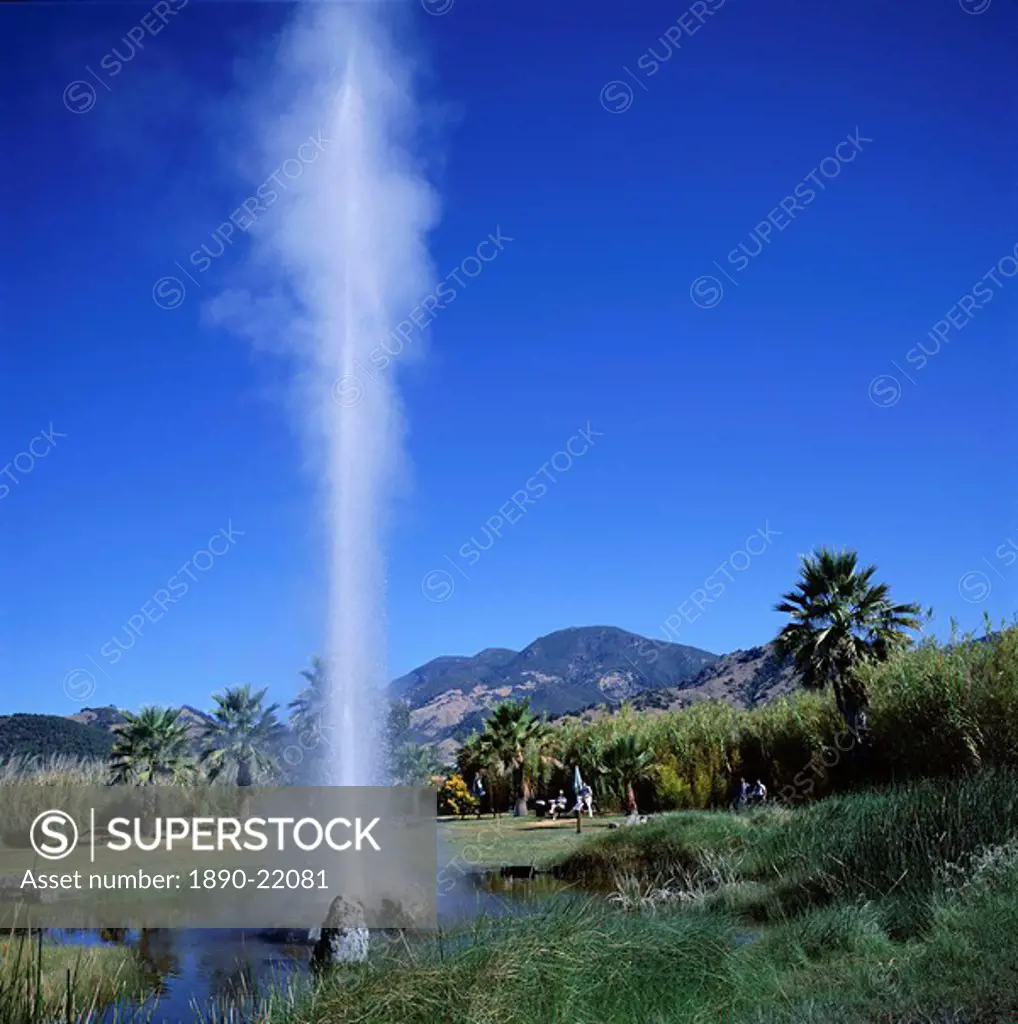 Old Faithful Geyser, erupts 60ft every 30 minutes, with pressure of 1000lbs per square foot, Napa Valley, California, United States of America USA, No...