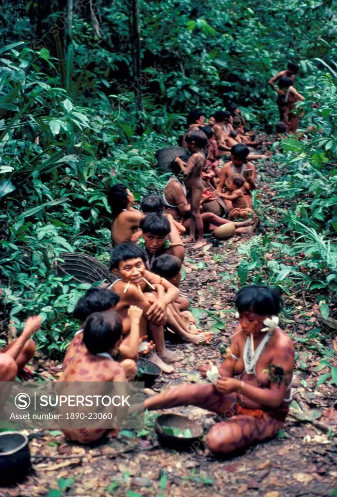 Yanomami on the way to a feast, Brazil, South America