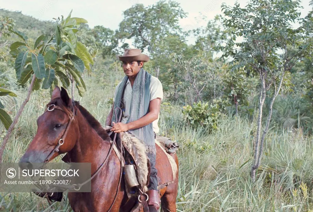 Kadiweu Indian horseman, Brazil, South America