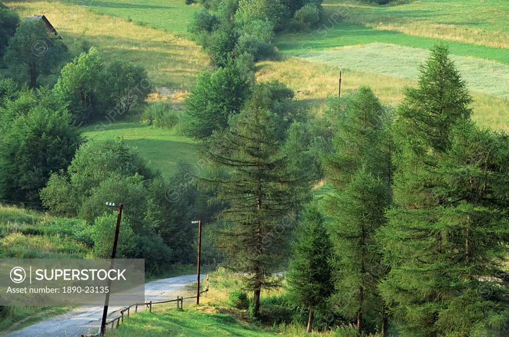 Lane near the Polish border, near Zdiar, High Tatras, Slovakia, Europe