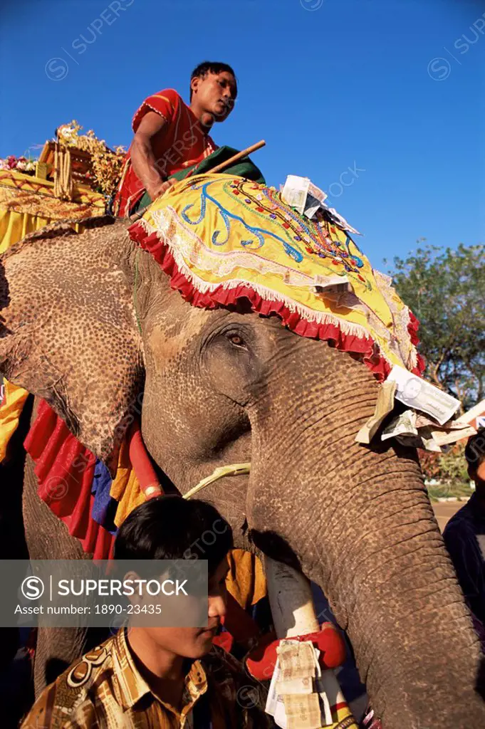 Elephant in religious procession, near Mawlamyine, Myanmar Burma, Asia