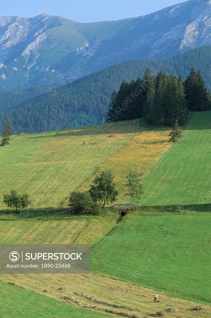 Farmland in the High Tatra Mountains near Zdiar and Polish border, Slovakia, Europe