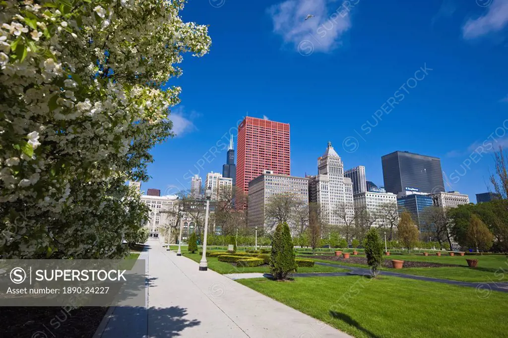 Spring blossom in Grant Park, Chicago, Illinois, United States of America, North America
