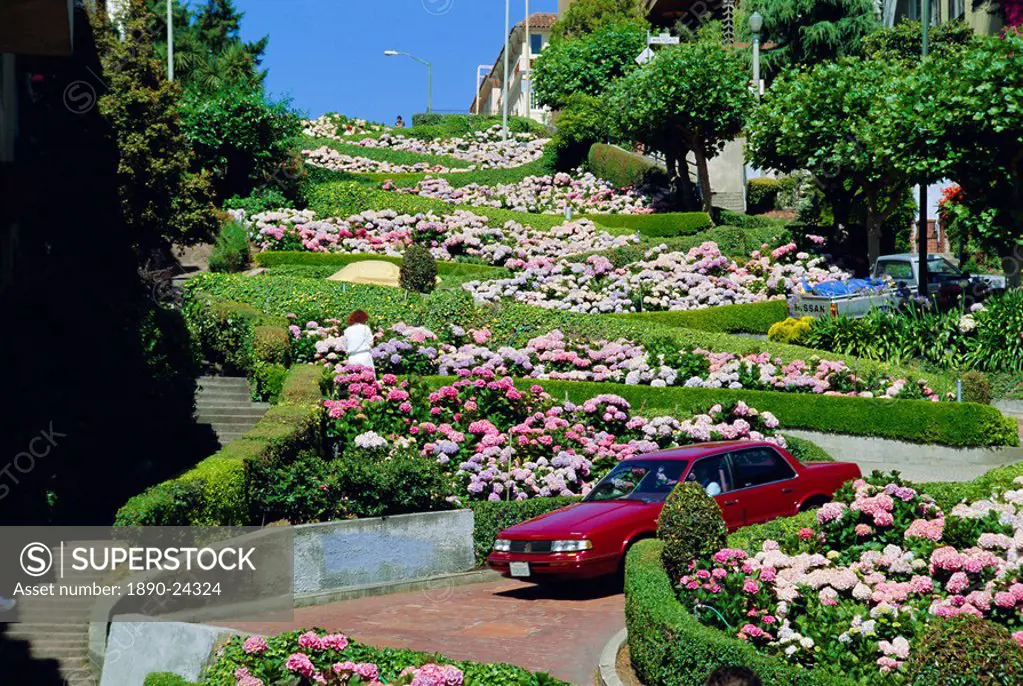 Driving down Lombard Street, the crookedest street in the world, Russian Hill, San Franscisco, California, USA