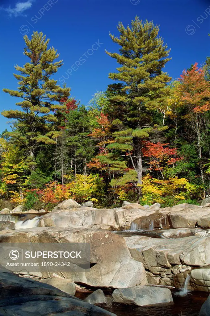 Large boulders in the Swift River, and trees in fall colours, on the Kancamagus Highway, New Hampshire, New England, United States of America, North A...