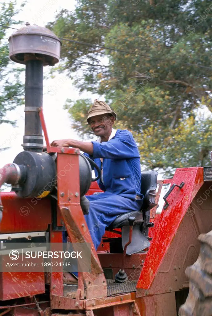 Farm worker on tractor, South Africa, Africa