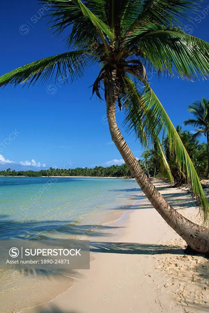 Bavaro Beach, Dominican Republic, West Indies, Caribbean, Central America