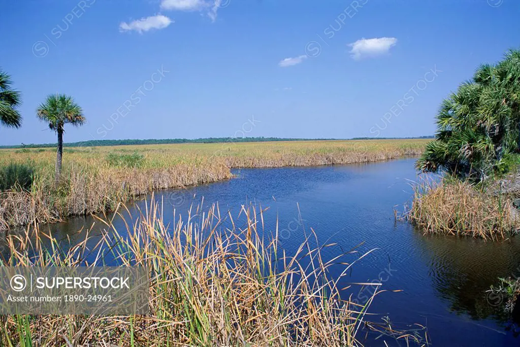 Everglades National Park, UNESCO World Heritage Site, Florida, United States of America U.S.A., North America