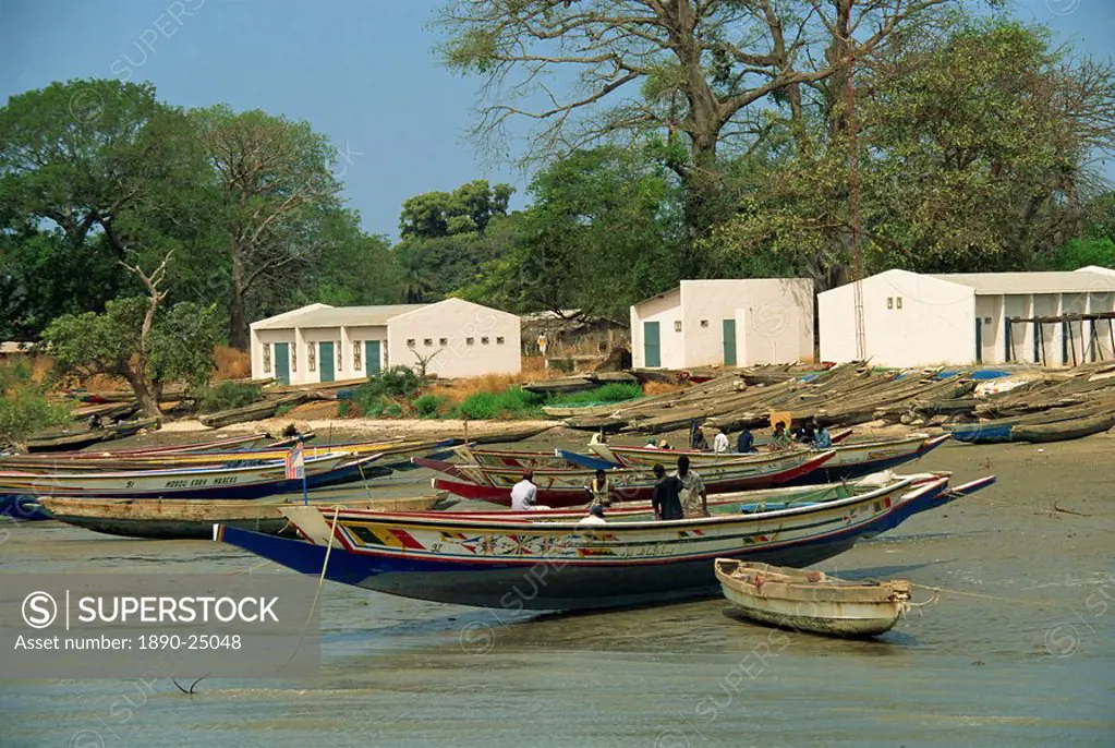 Fishing boats pulled up onto beach, Albreda, Gambia, West Africa, Africa