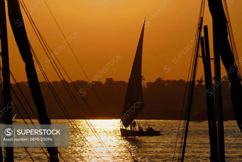 Feluccas on the River Nile, Aswan, Egypt, North Africa, Africa