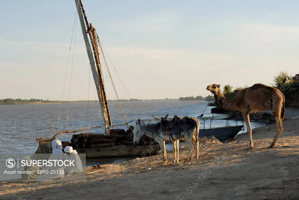 Ferry across the River Nile, Sudan, Africa