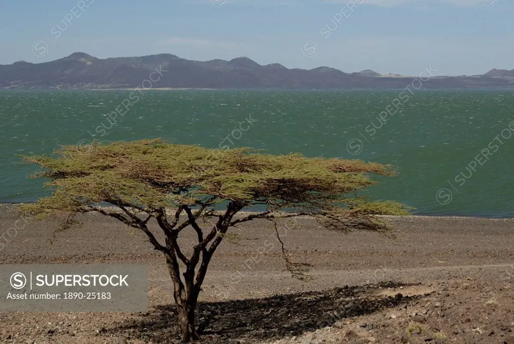 Lake Turkana, Kenya, East Africa, Africa
